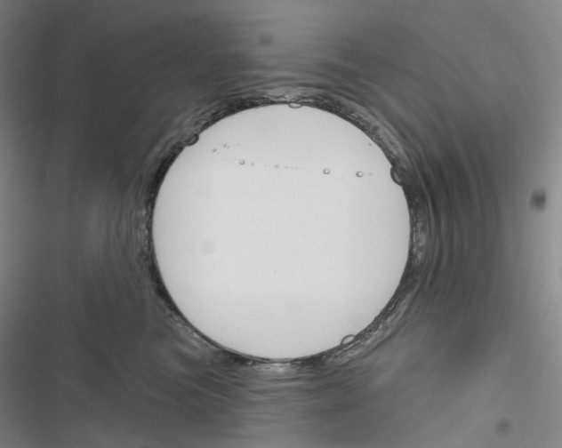 X0000116450473201001191556