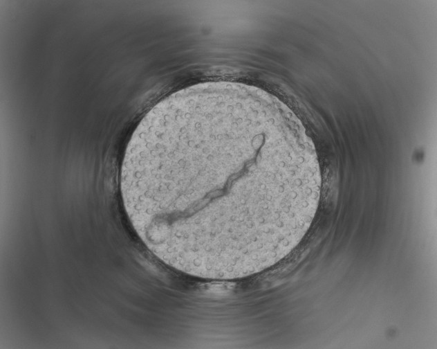 X0000116450474201001191556