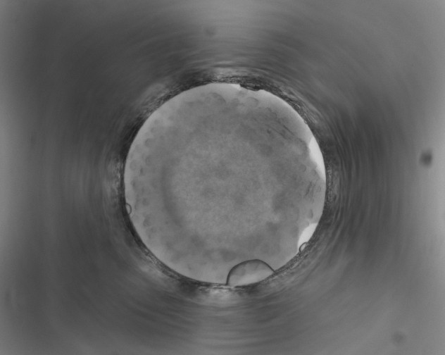 X0000116450475201001191556