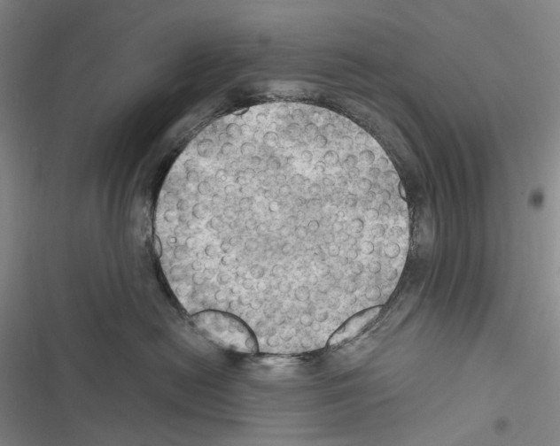 X0000116450478201001191556