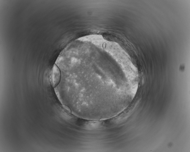 X0000116450479201001191556