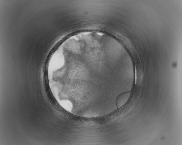 X0000116450483201001191556