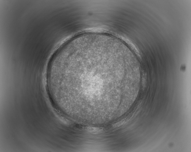 X0000116450486201001191556