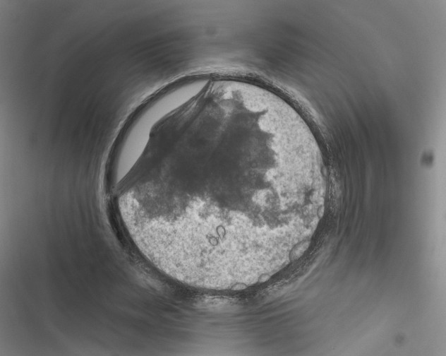 X0000116450487201001191556