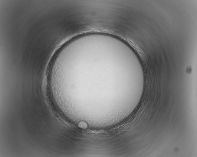 X0000116450488201001191556