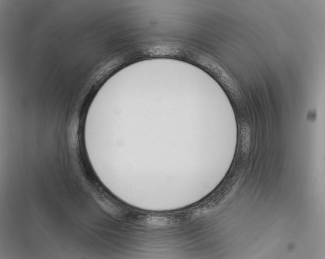 X0000116450490201001191556