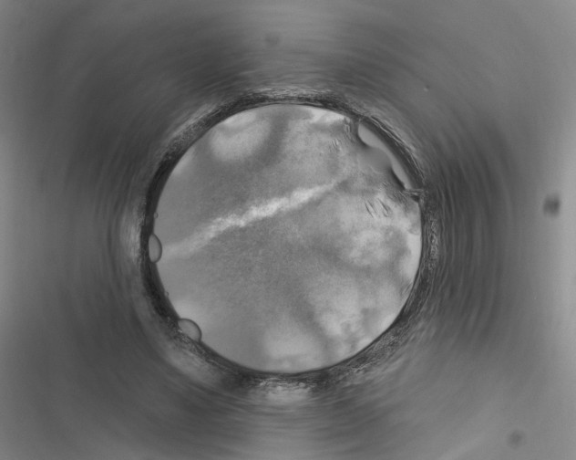 X0000116450491201001191556