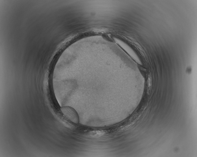 X0000116450492201001191556