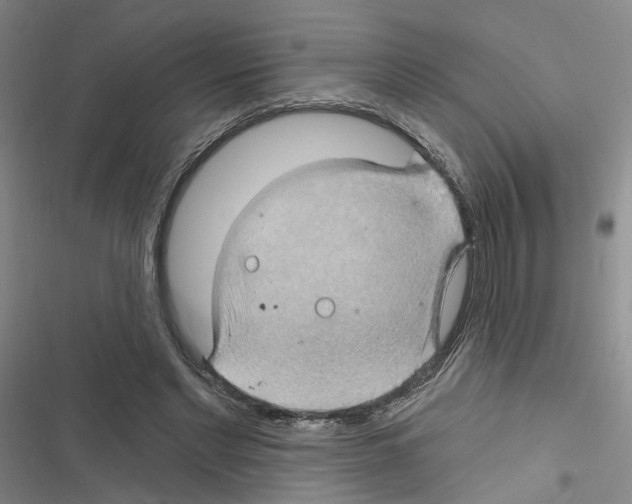 X0000116450493201001191556