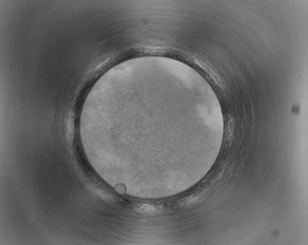 X0000116450494201001191556