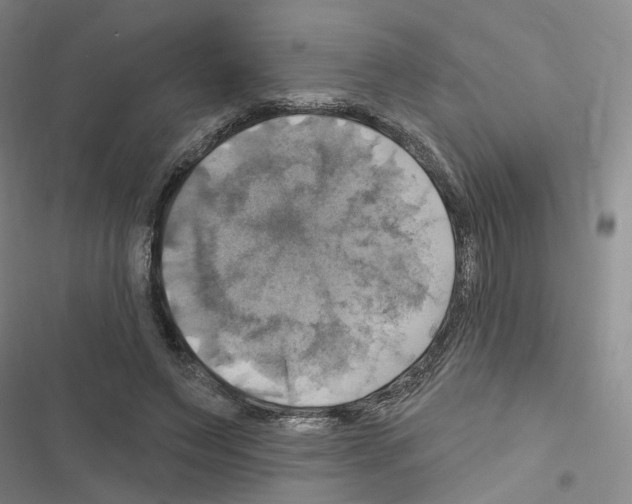 X0000116450495201001191556