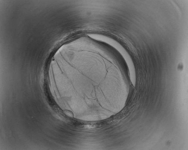 X0000116450496201001191556