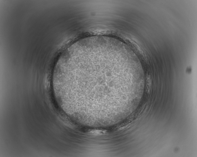 X0000116450499201001191556
