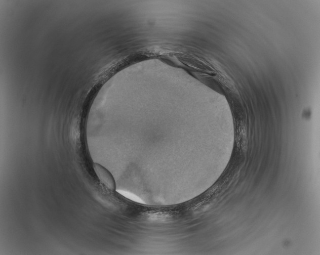 X0000116450500201001191556