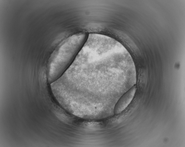 X0000116450501201001191556