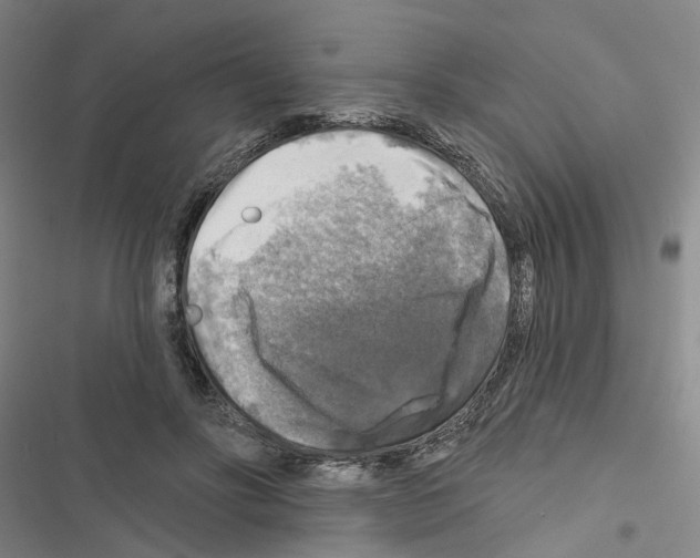 X0000116450502201001191555