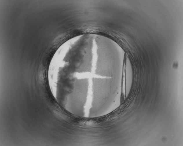 X0000116450503201001191555