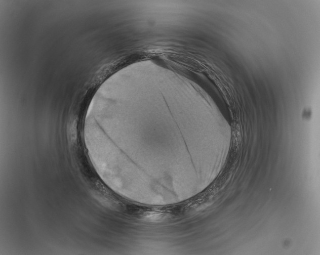 X0000116450504201001191555