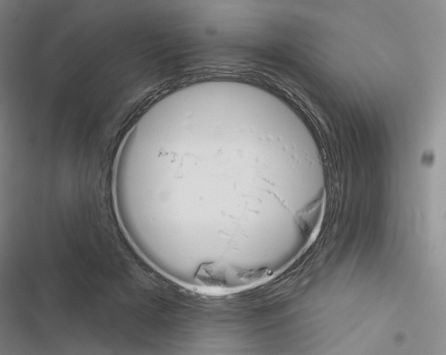 X0000116450505201001191555