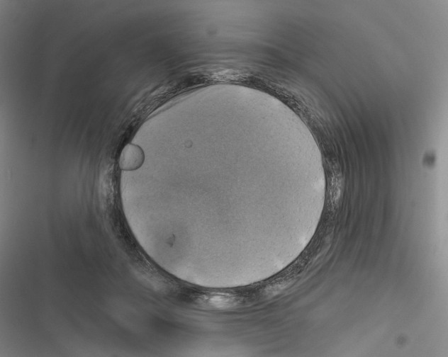 X0000116450506201001191555