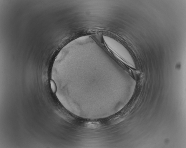 X0000116450508201001191555