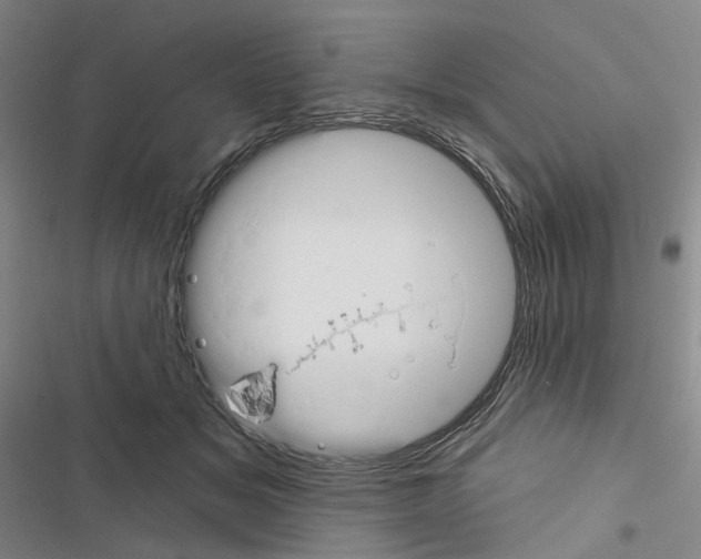 X0000116450509201001191555