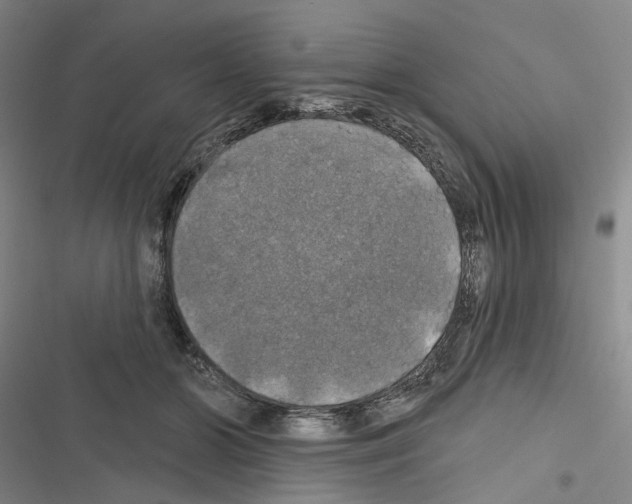 X0000116450510201001191555