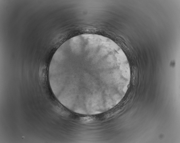 X0000116450511201001191555
