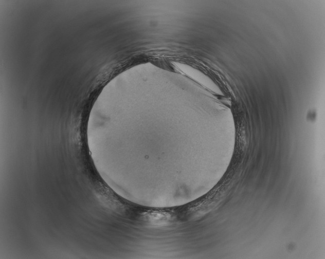 X0000116450512201001191555