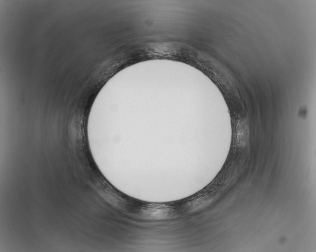 X0000116450514201001191555
