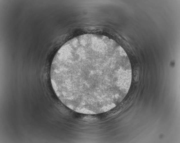 X0000116450515201001191555