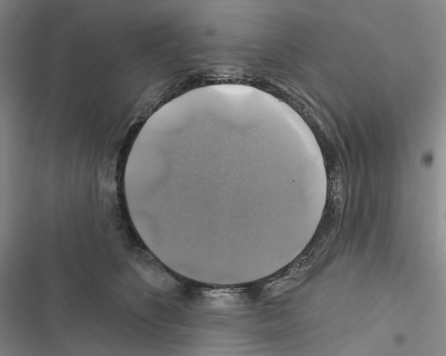 X0000116450516201001191555