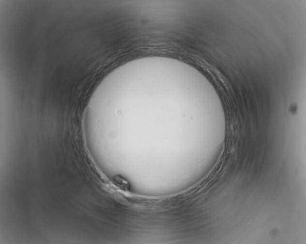 X0000116450517201001191555