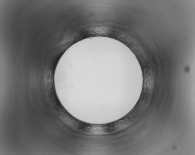 X0000116450518201001191555