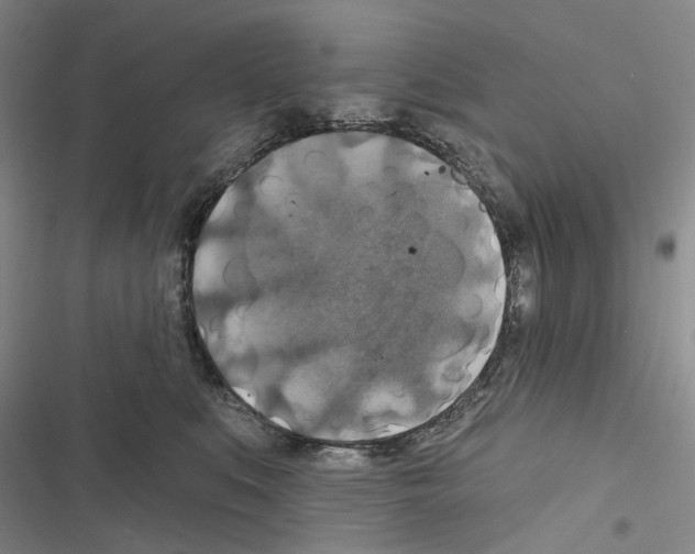 X0000116450519201001191555