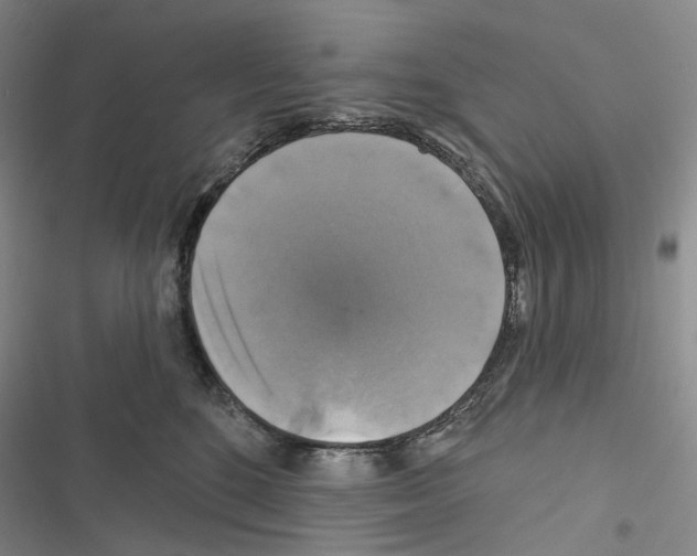 X0000116450520201001191555