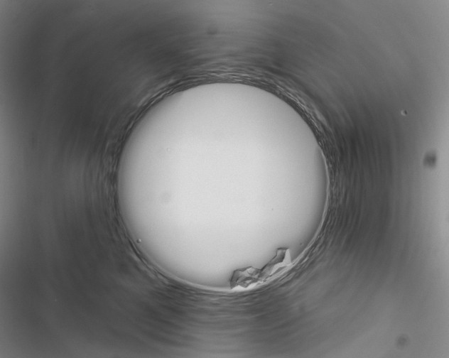 X0000116450521201001191555
