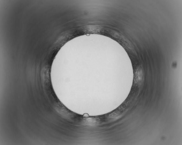 X0000116450522201001191555