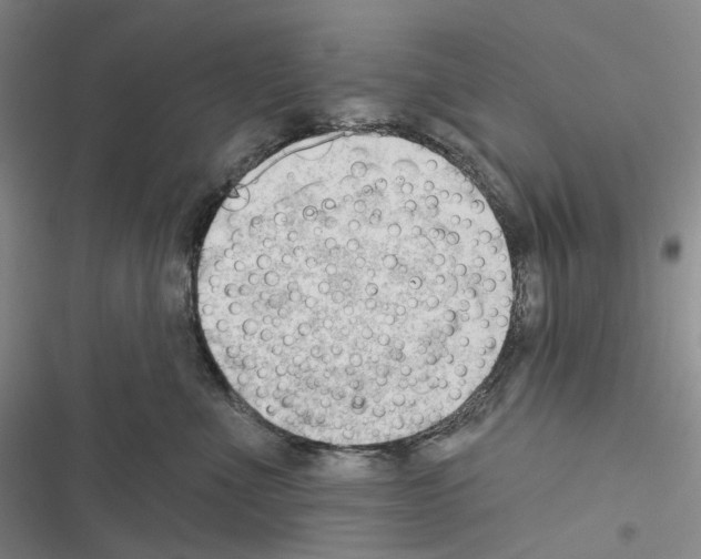 X0000116450523201001191555