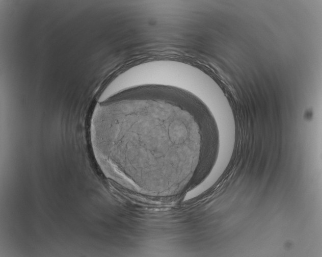 X0000116450524201001191555