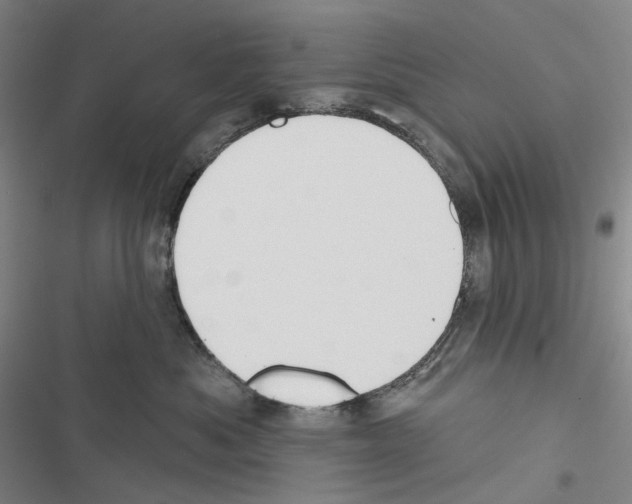 X0000116450525201001191555