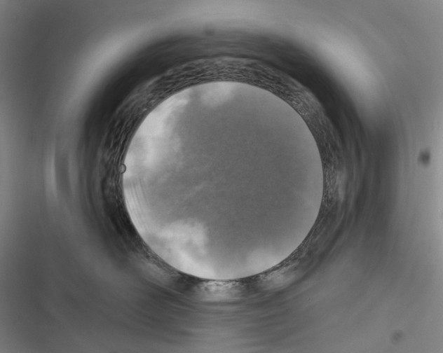 X0000116450526201001191555