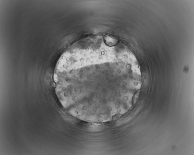 X0000116450527201001191555
