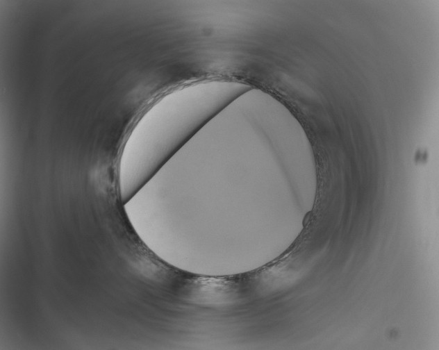 X0000116450528201001191555