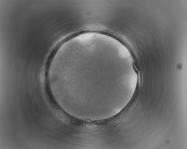 X0000116450531201001191555