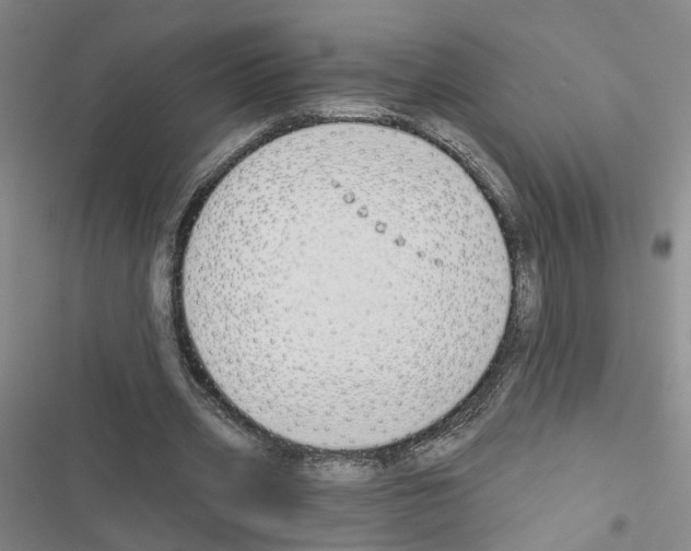 X0000116450533201001191555
