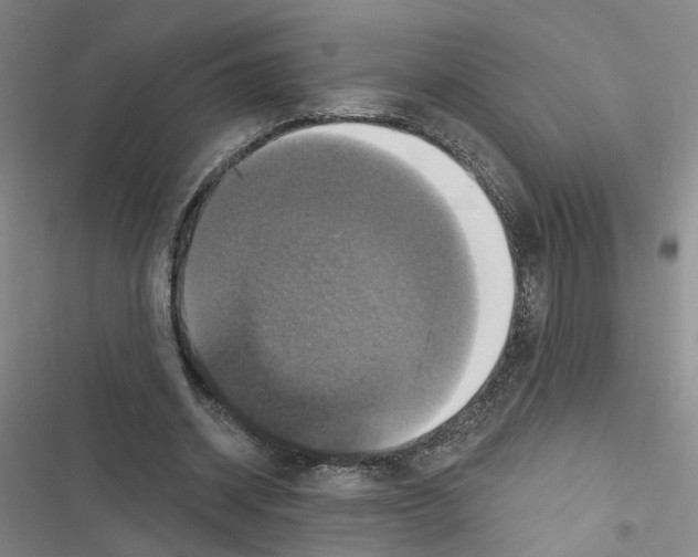 X0000116450534201001191555