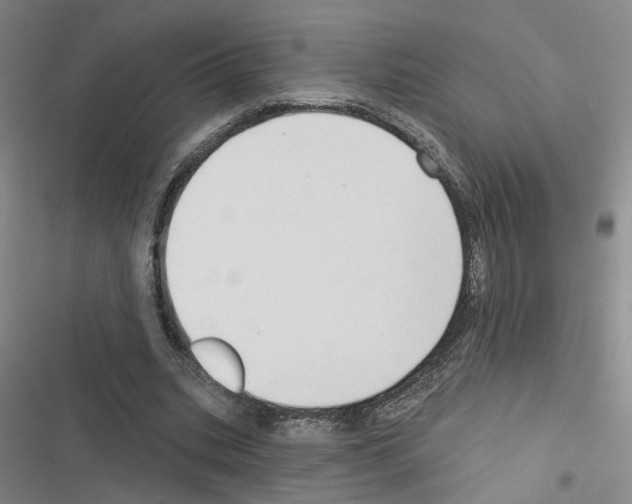 X0000116450535201001191555