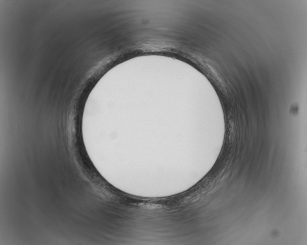 X0000116450539201001191555