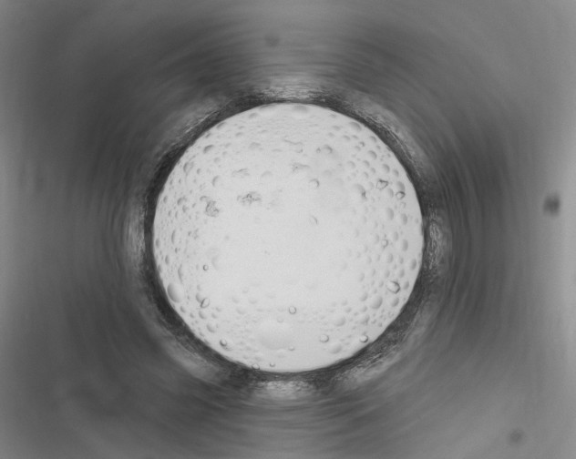 X0000116450541201001191555
